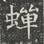 蝉