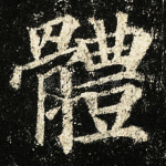 体