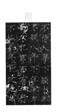 大观圣作之碑 - 第35页