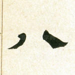 八