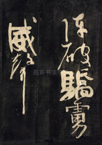 裴将军诗 - 第9页