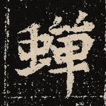 蝉