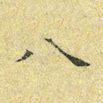 八