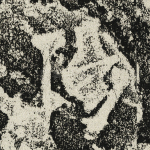 阳