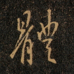 体