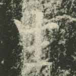生