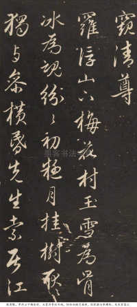 梅花诗 - 第10页