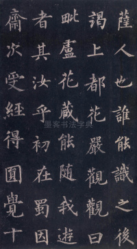 圭峰定慧师碑 - 第16页