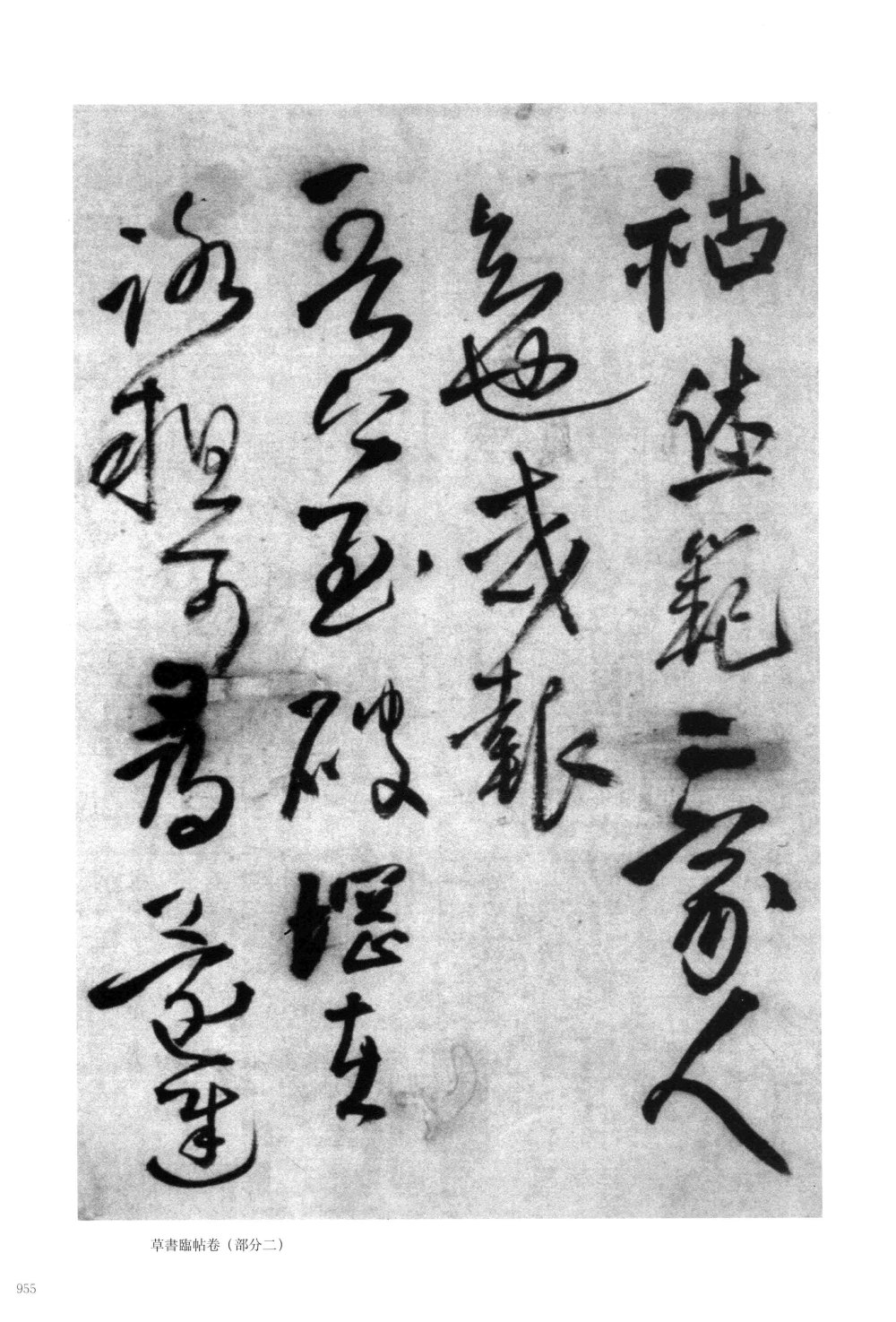 郑修容有事 - 第2页
