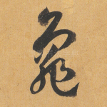 龟
