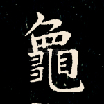 龟