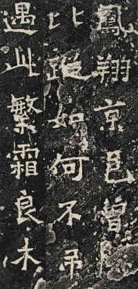 爨龙颜碑 - 第43页