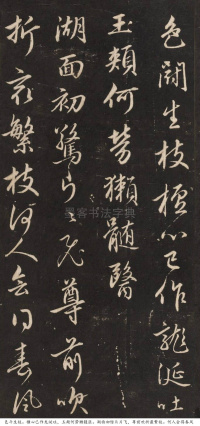 梅花诗 - 第6页