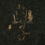 学