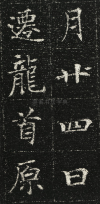 张君第五息墓志 - 第28页