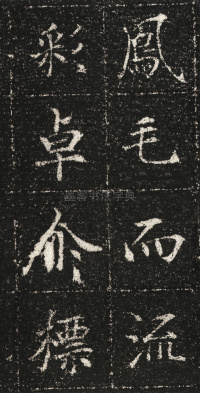 张君第五息墓志 - 第14页